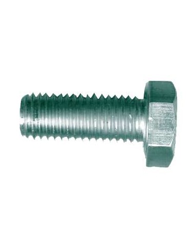 VITE F/T ZINC M16x30  1 PZ