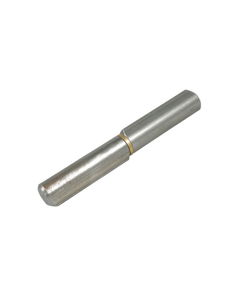 CERN COSTA PERNO ZINC M100