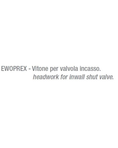 VITONE RICAMBIO X VALV INC