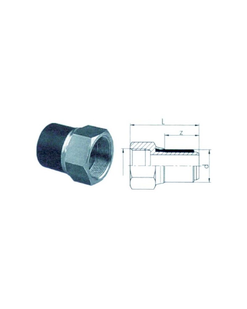 RACC TRANS PE/OT F 2x63   