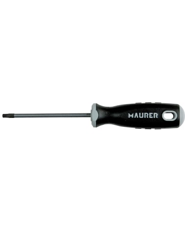 CACCIAVITE TORX LAMA MAURER PLUS T 20X100