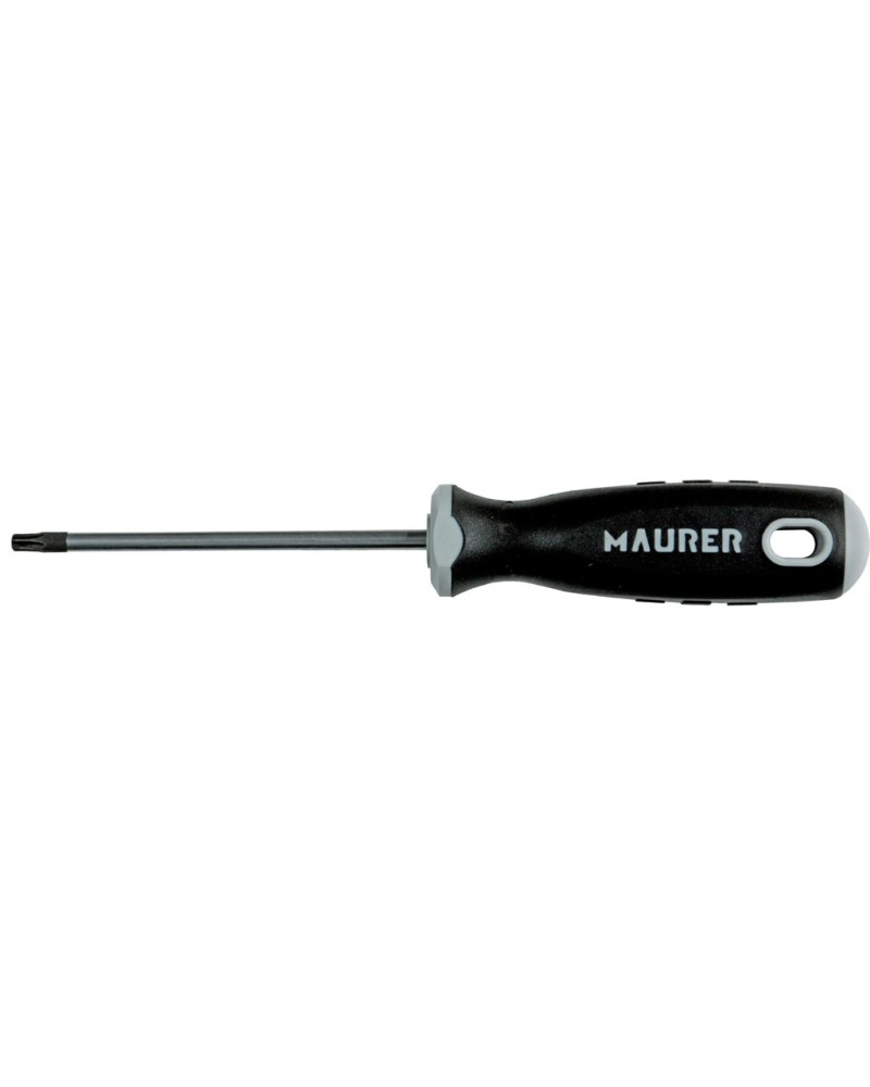 CACCIAVITE TORX LAMA MAURER PLUS T 20X100