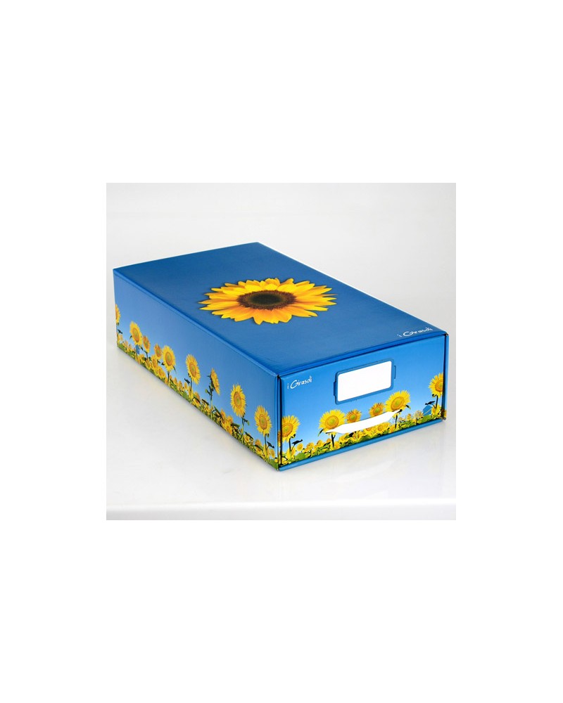 CASSETTO SPACE KIT MIDICassetto Spece Kit colori assortiti cm 29x15x54,5