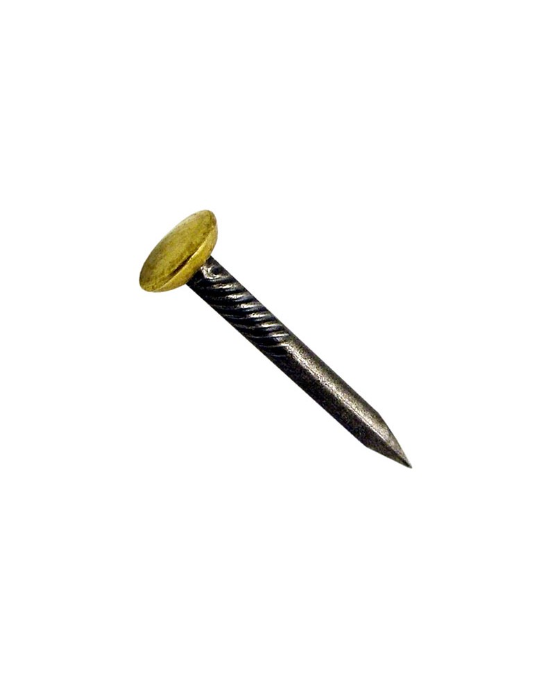 Chiodo testa bombata ricoperta in ottone con punta in acciaio brunito.  MM 2,0X30 PZ80 TESTA ORO ART. 708556
