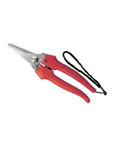 FORBICI COGLIUVA STANDARD AUSONIA 31327 CM19
