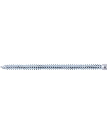 VITI IN ACCIAIO DIAM. 5X82MM PER SERRAMENTI TESTA CILINDRICA TORX 15 FFSZ FISCHER 533617