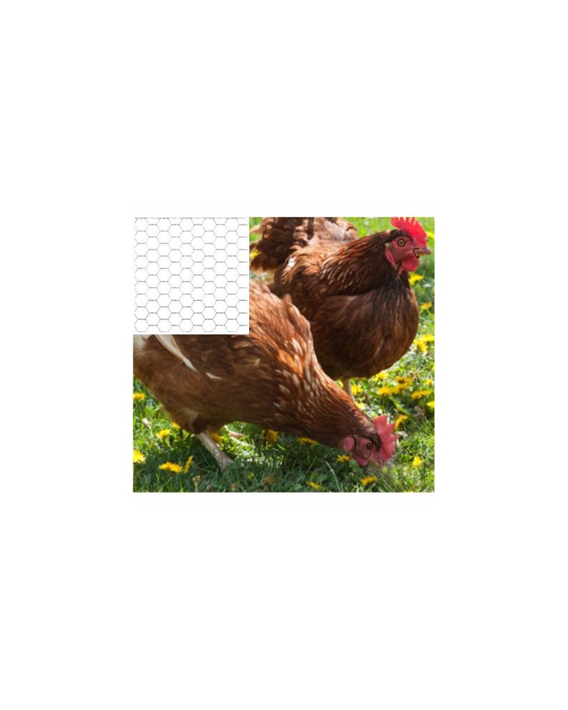 RETE COCCO NET 16 H50x50MT