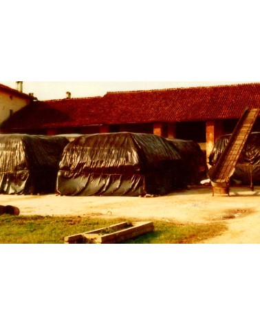 FOGLIA POL NERA   0,05 100