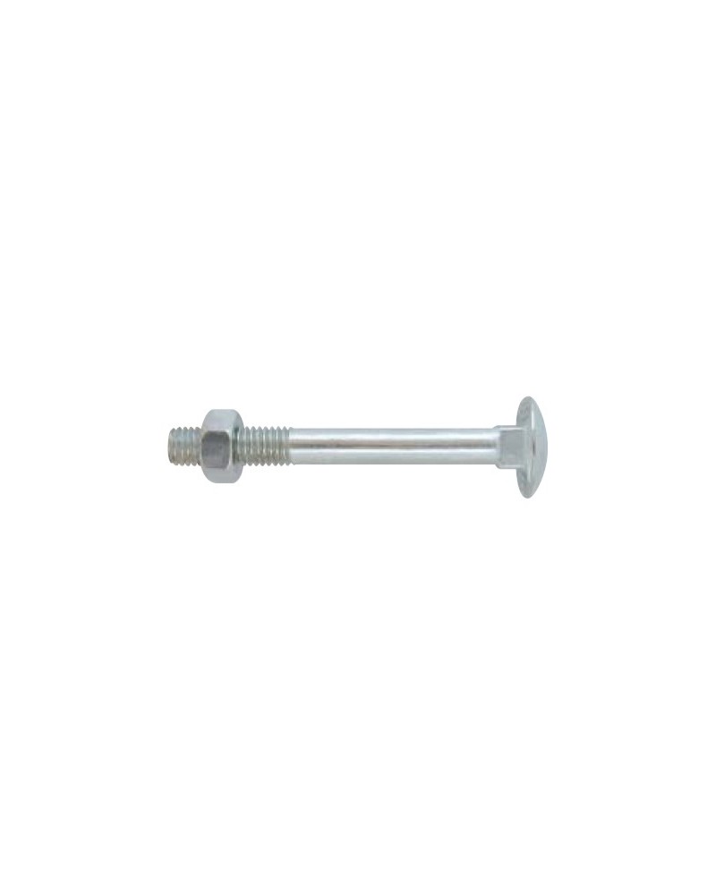 CAVICCHIE ZINC M6X50  200P