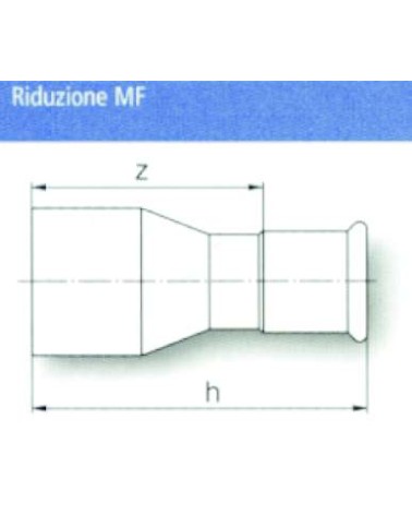 RIDUZIONE INOX MF 42 X 22 