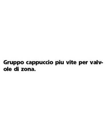 KIT CAPPUCC+VITE VALV ZONA