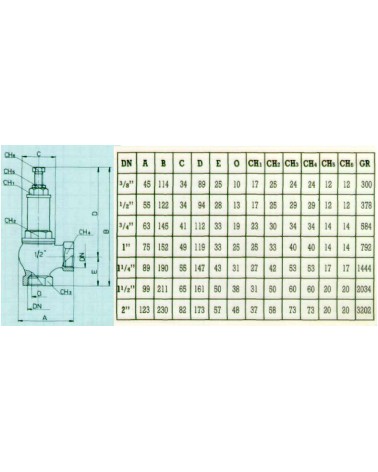 VALVOLA SICUR. MOLLA SQ. 1