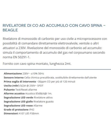 RILEV.FUGHE GAS CO  C/SPIN