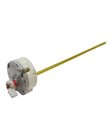 TERMOSTATO PRO1 R 80 V/3  