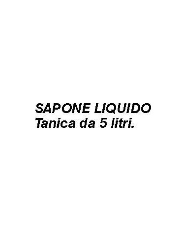SAPONE LAVAMANI TANICA 5LT