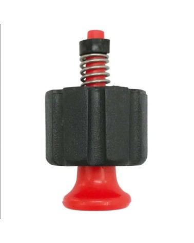 VALVOLA SFIATO POMPE 5972 