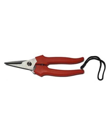 FORBICE COGLIUVA 15CM LACC
