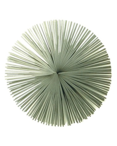 SCOVOLO CAMINO NYLON 150MM