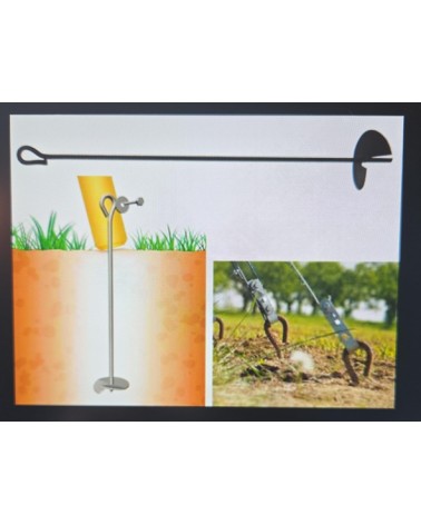 ANCORA X VIGNA ZIN 100 diametro 14