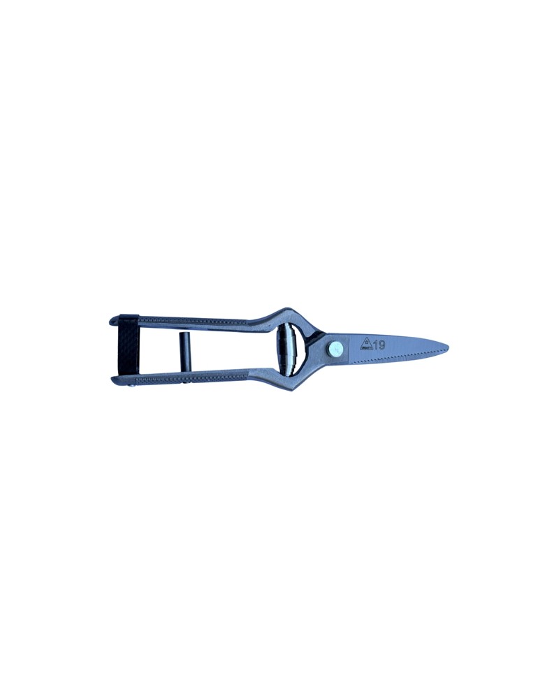 FORBICE UVA 19 CM   LAC/CU