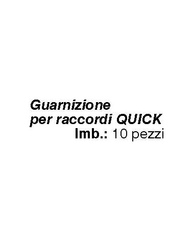 GUARNIZIONE x RACCORDO RAP