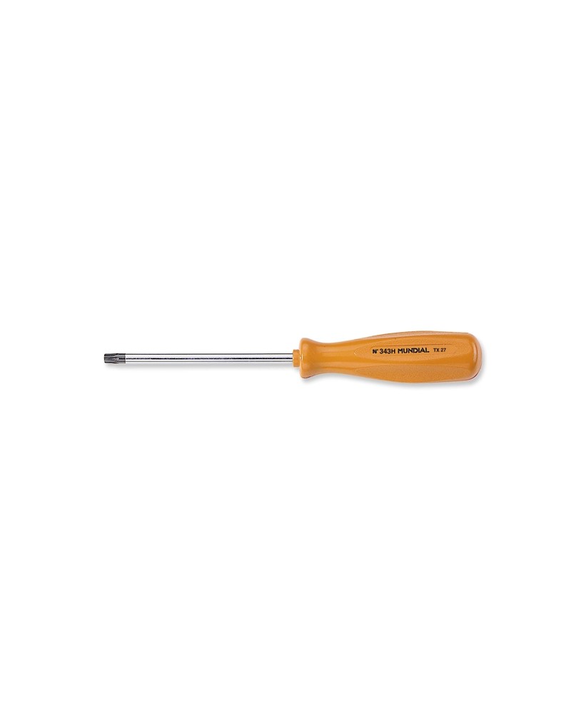 GIRAV TORX C.FORO TX25x100