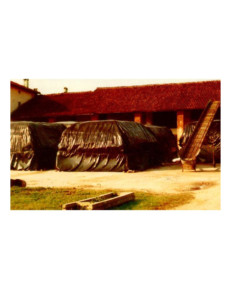 FOGLIA POL NERA   0,05 100