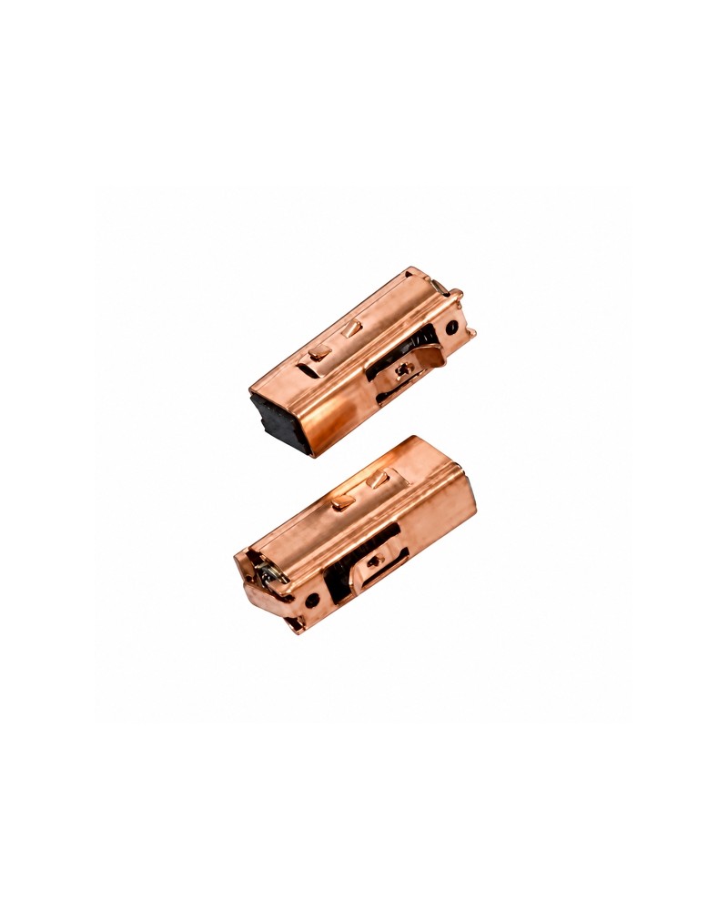 COPPIA SPAZZOLE PBS 600-RE