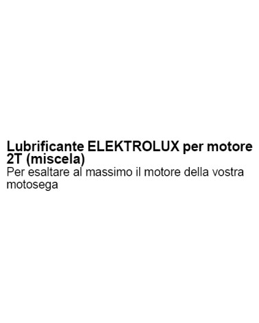 OLIO SINTETICO 2TEMP 100ML
