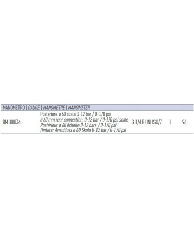 MANOM POS 0-12BAR 0-170PSI