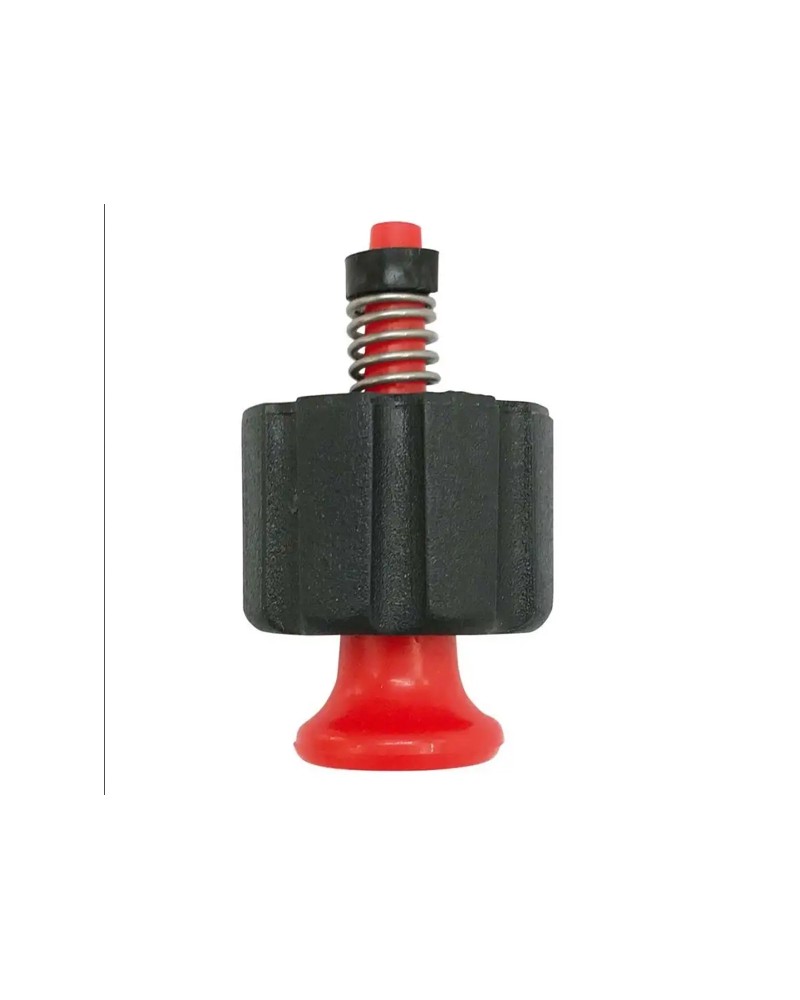VALVOLA SFIATO POMPE 5972 