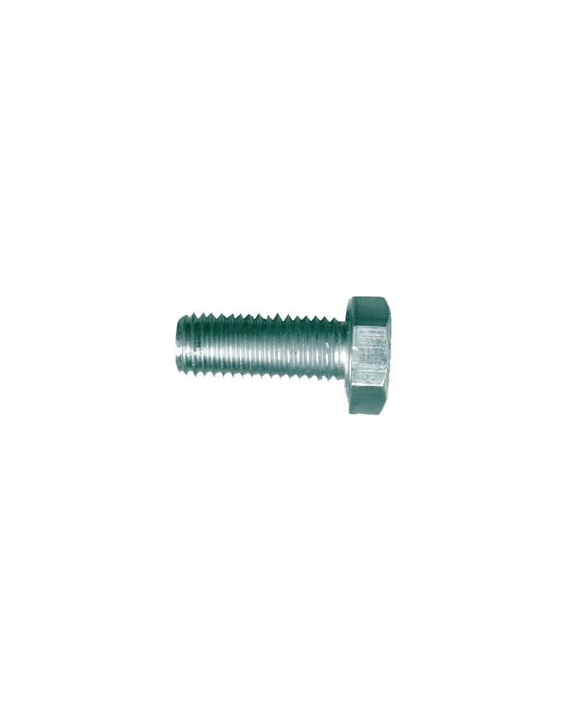 VITE F/T ZINC M8x20   1 PZ