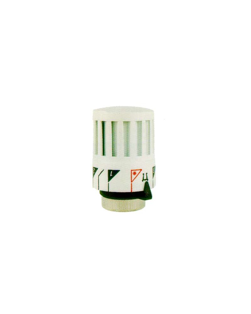 TESTINA TERMOSTATICA NEW  