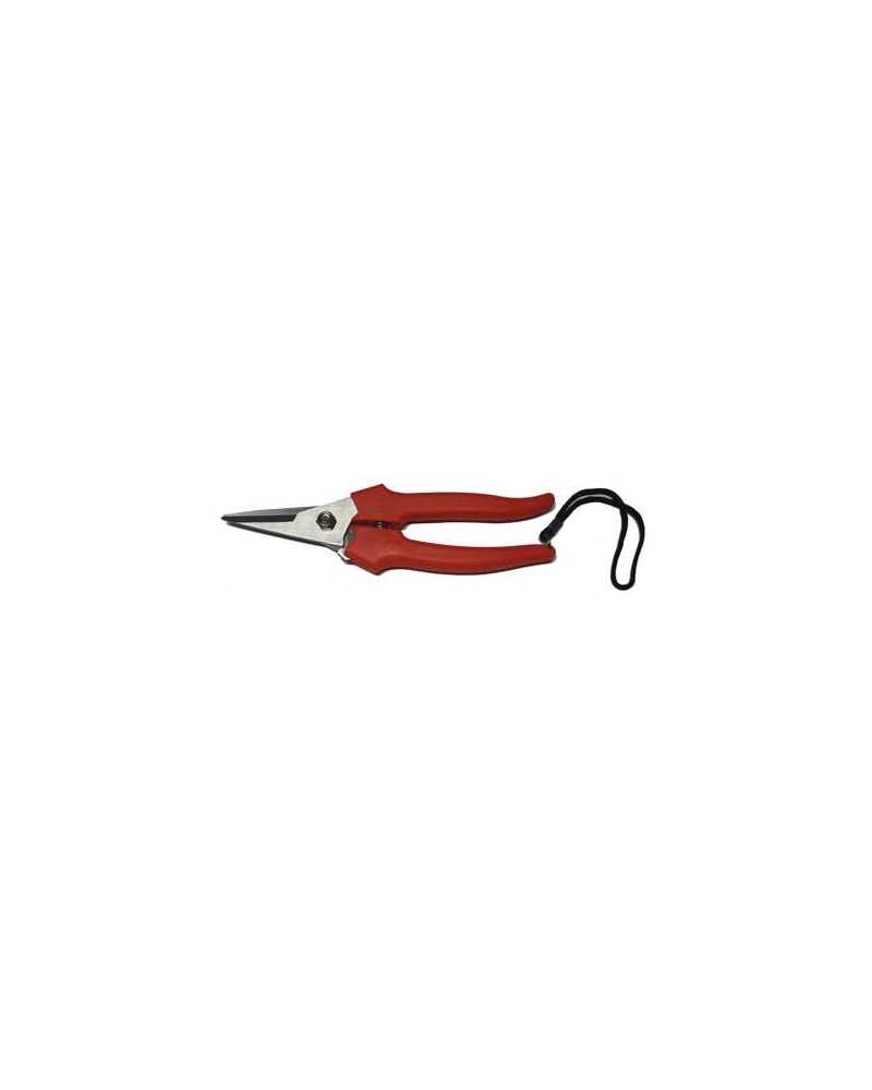 FORBICE COGLIUVA 15CM LACC