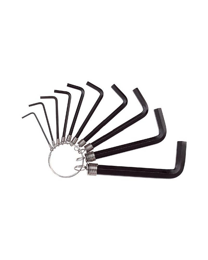SERIE 10 CHIAVI ESAG C/ANE