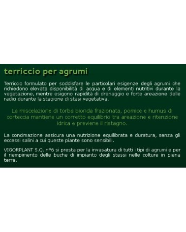 TERRICCIO AGRUMI      LT20