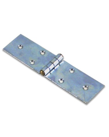 CERNIERA ACCIAIO ZINCATO LUNGA MM100 ART.122 PERNO OTTONE