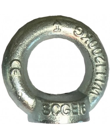 Golfare femmina in acciaio zincato mm12 C15E - DIN 582 -  finitura zincata