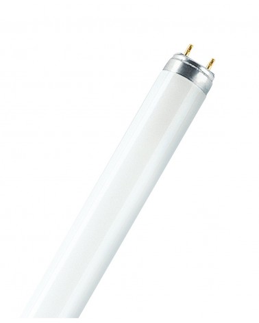 Lampada fluorescente 30W 76 FLH1 OSRAM.  Lampade fluorescenti lineari 26 mm, attacco G13, per generi alimentari.