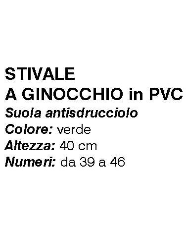 STIVALE A GINOCCHIO  TG 39