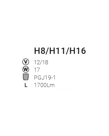 LAMPADE H11 LED CANBUS 2PZ