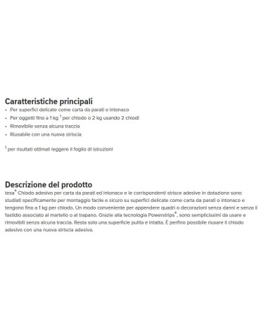 CHIODI ADES REG x MURO 1KG