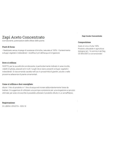 ZAPI ACETO CONCENTRATO 5LT