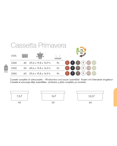 CASSET PRIMAV C/SOT  40X20