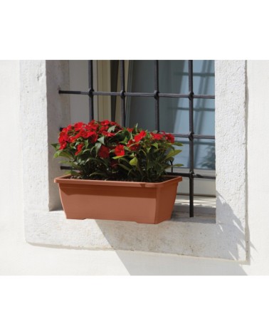 CASSET PRIMAV C/SOT  40X20