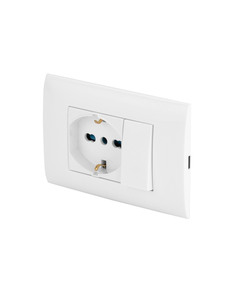 PLACCA C/DEVIATORE +SCHUKO