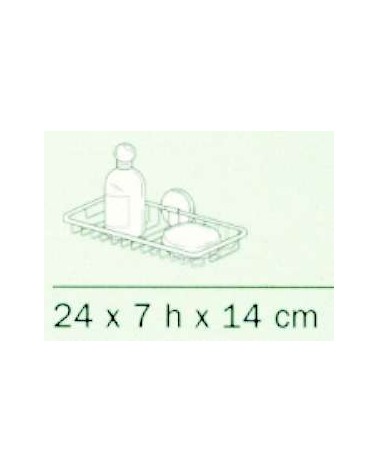 CEST.P.SPUGNA/SAP COLOR.CR