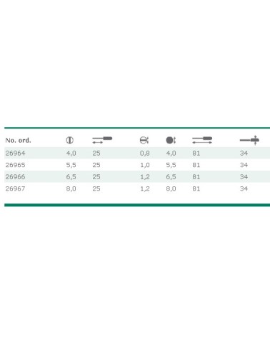 GIRAVITE NANO 302K 4x25   