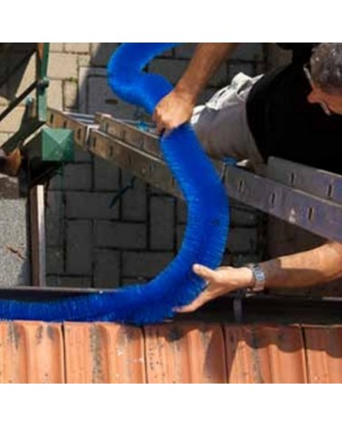 SALVAGRONDA diametro 100 3 METRI  