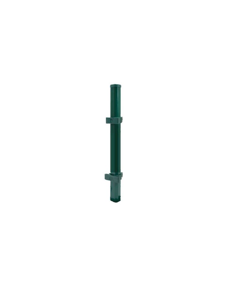 PALO PALDECO VER S/PI H230